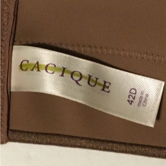 Lane Bryant Invisible Backsmoother Bra Brown 42D - Picture 3 of 4